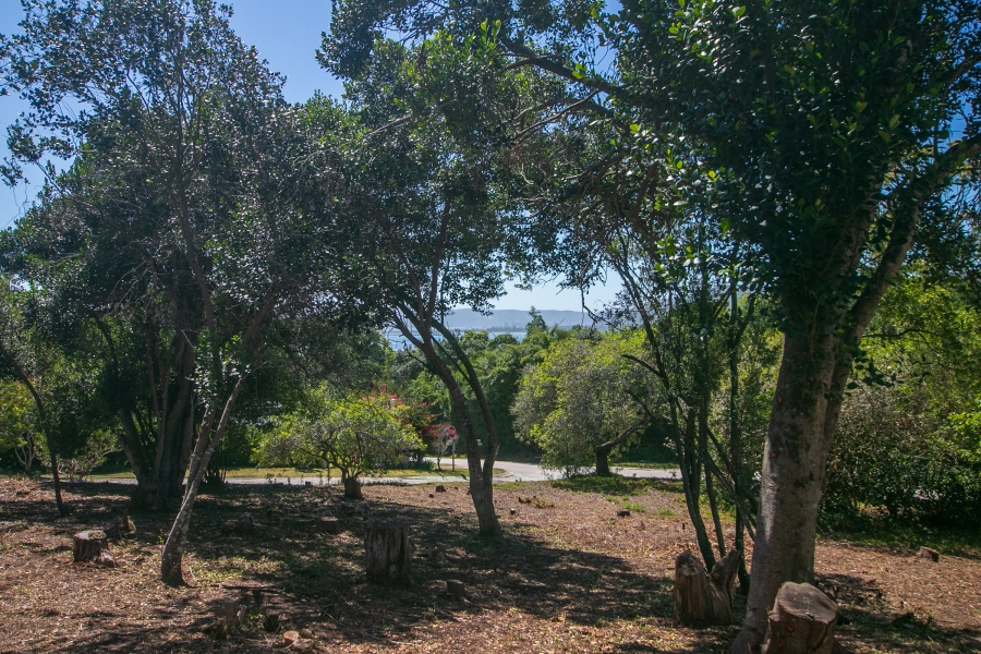 0 Bedroom Property for Sale in Belvidere Estate Western Cape